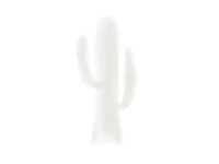 a white cactus on a black background